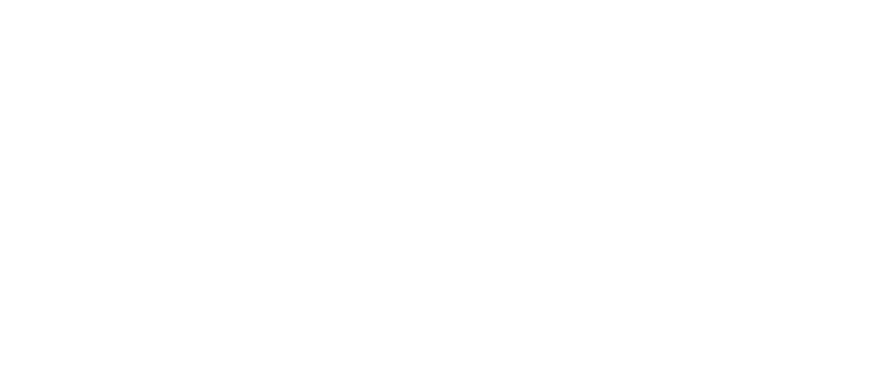 Fidelity