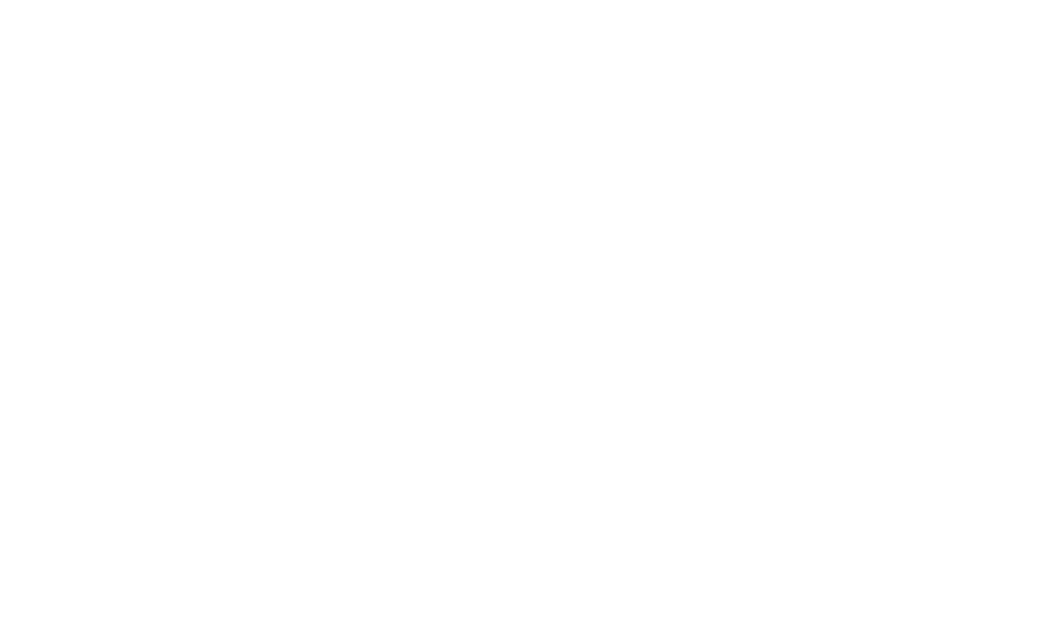 The Estee Lauder Companies Logo