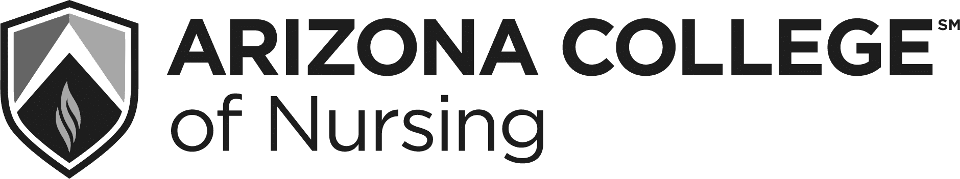 How Arizona College of Nursing increased AI-referred traffic conversions by 51% with Profound Agents